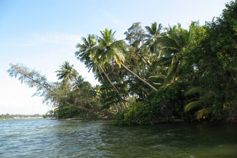 Sri Lanka, Colombo, River safari